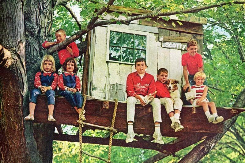 Backyard Treehouse Fortresses