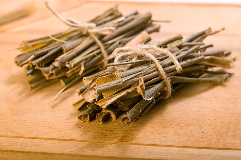 Aspirin's Ancient Roots: Willow Bark Medicine