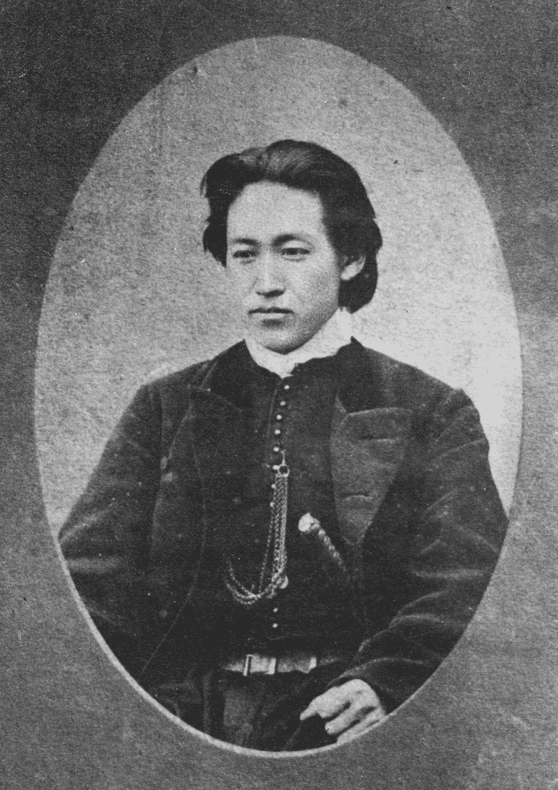 Hijikata Toshizō, Samurai/Commander, 1869