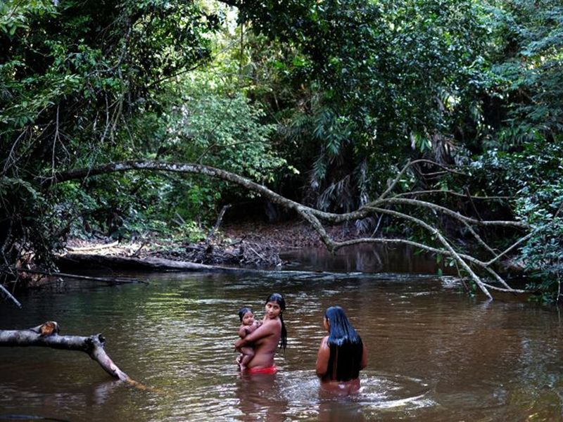 The Awa (Brazil)