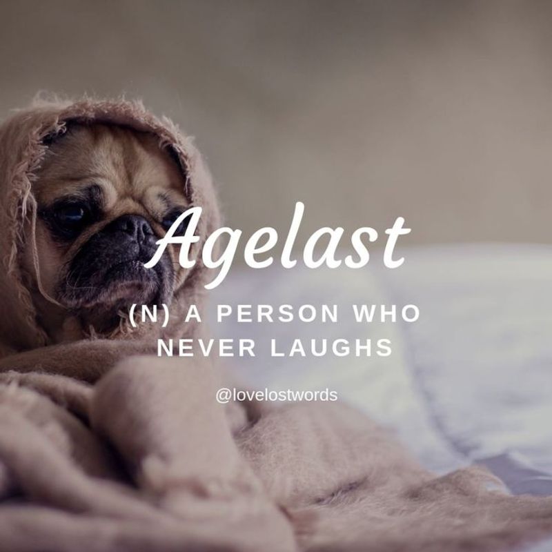 Agelast (Ancient Greek)