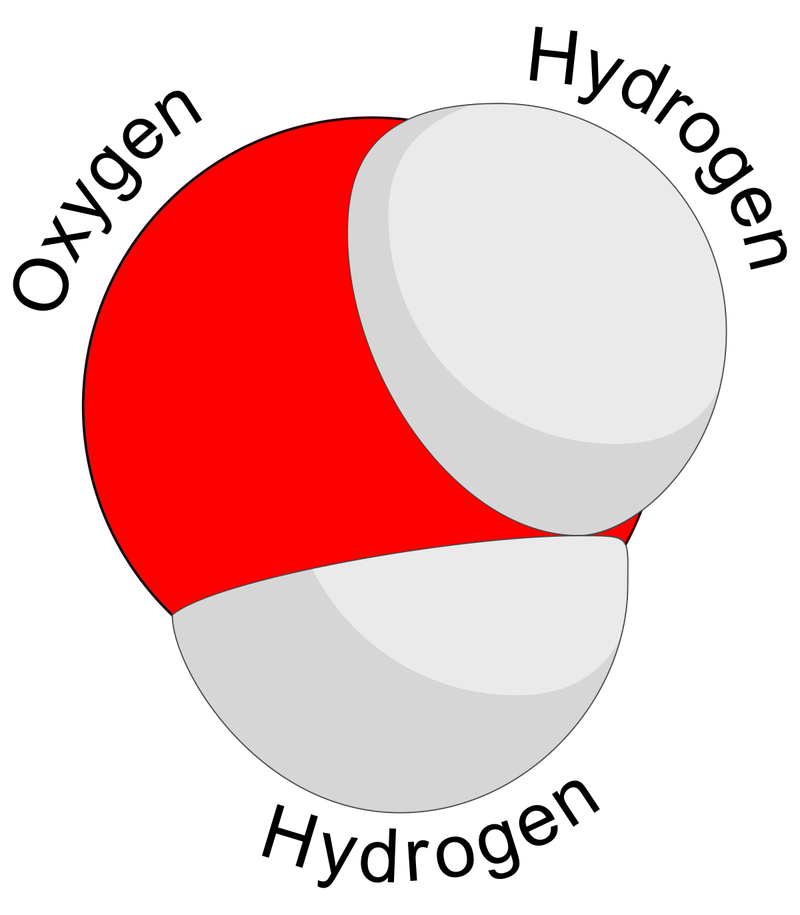 The Dihydrogen Monoxide Panic: Fear of Water