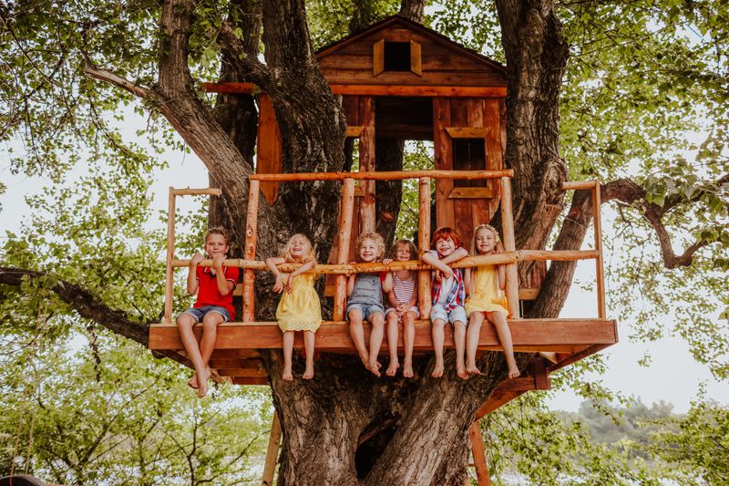 Built Forts Indoors and Out