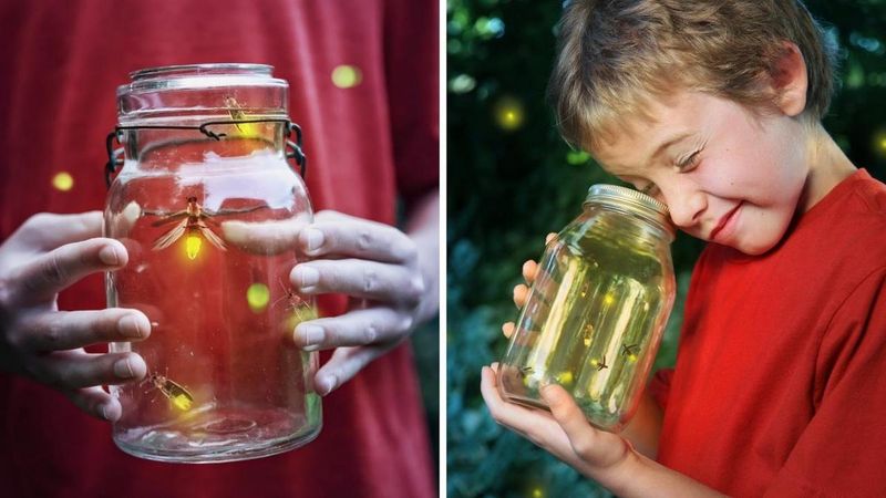 Catching Fireflies in a Jar