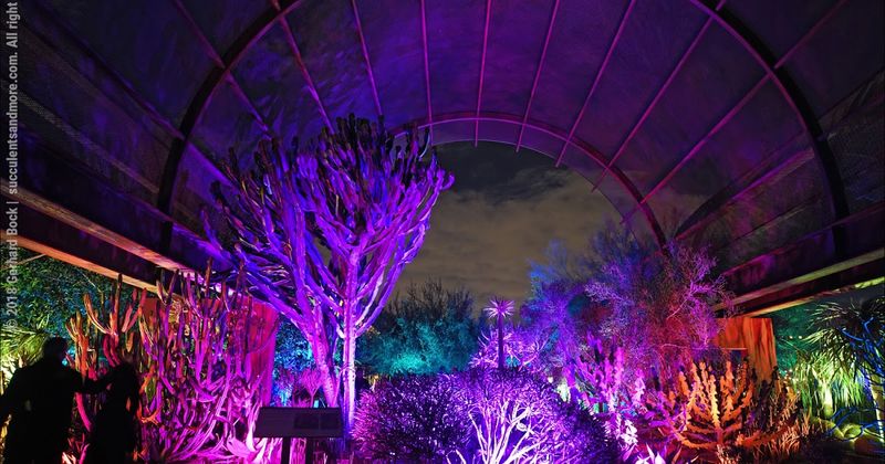 Desert Botanical Garden – Arizona