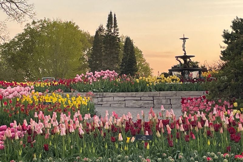 Minnesota Landscape Arboretum – Minnesota