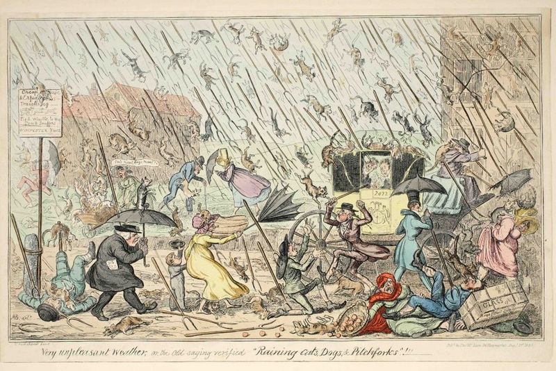 Raining cats and dogs