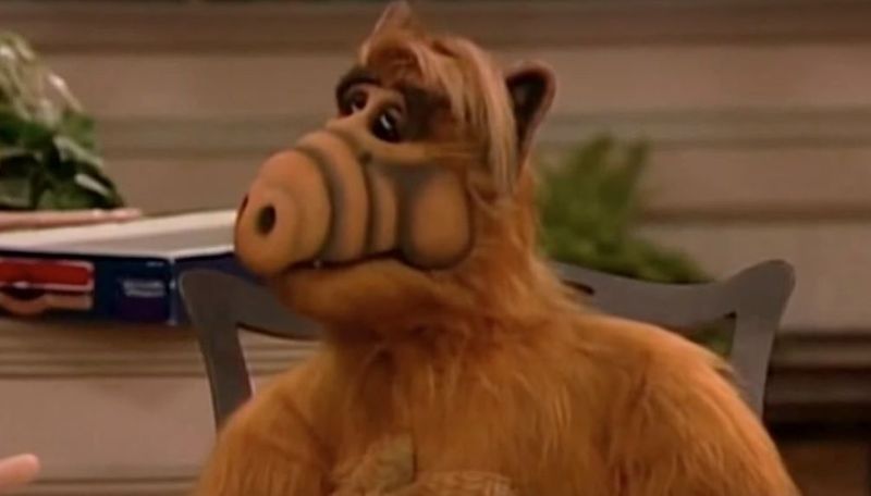ALF's Berlin Wall Episode Explained Global Politics to Children