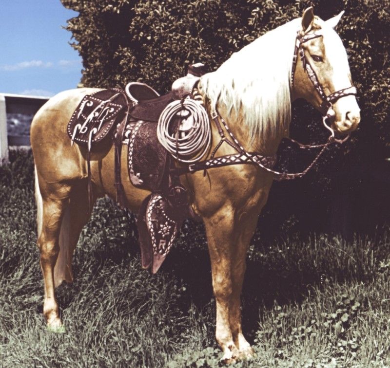 Trigger (Roy Rogers' Golden Palomino)