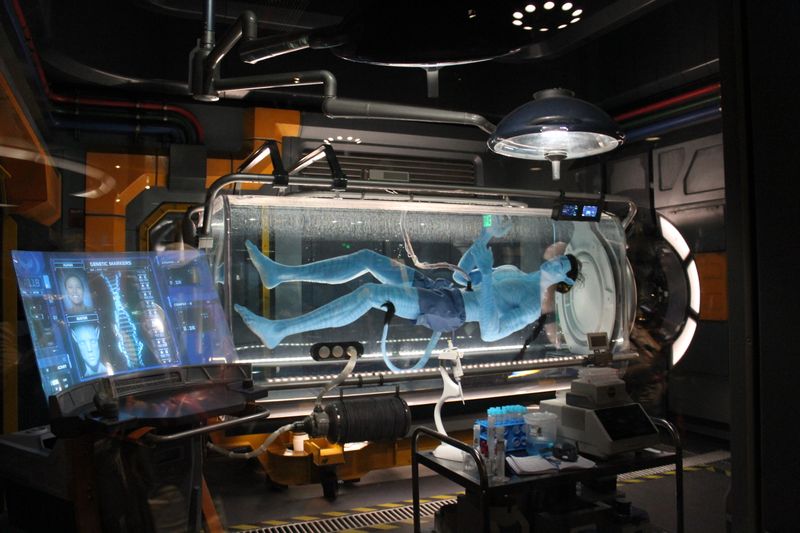 Avatar Flight of Passage (2017, Animal Kingdom)