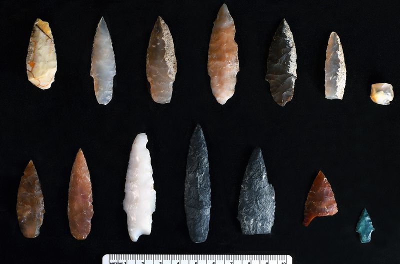 The Archaeological Tool Similarities Might Be Coincidental