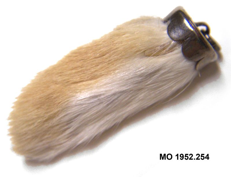 Rabbit’s Feet (The Real, Dark Origin)