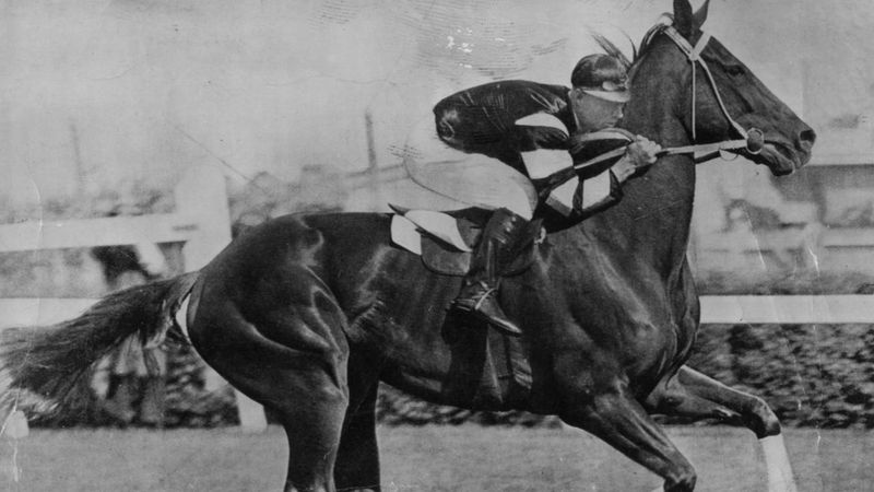 Phar Lap (Australia's Wonder Horse)