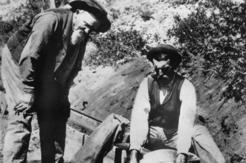 Typhoid Fever – The Stealthy Camp Disease
