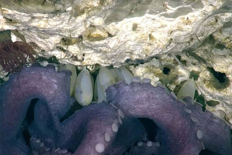 Life Finds a Way in Harshest Places