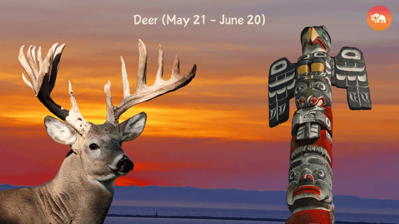 Deer – The Gentle Messenger