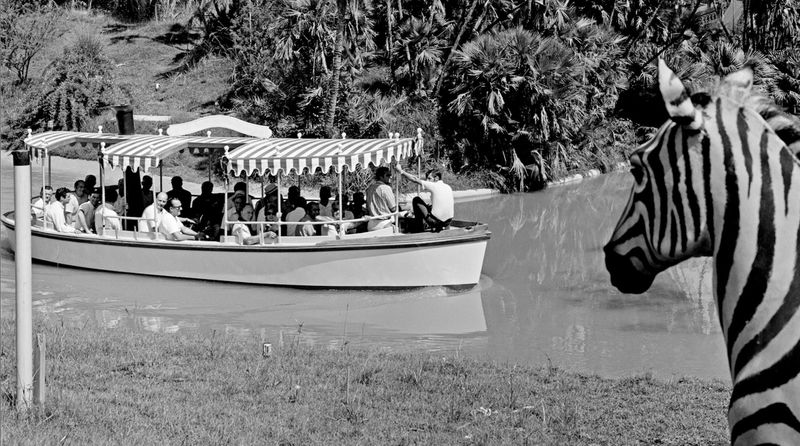 Jungle Cruise (1971, WDW)