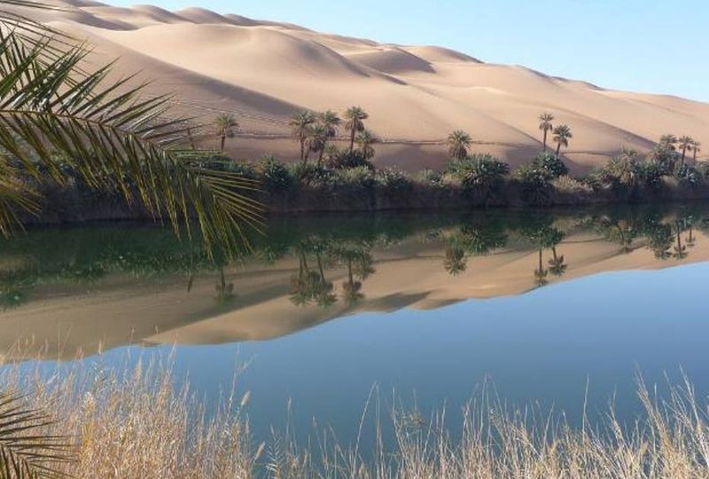 Lost Oasis at the Gulf's Head