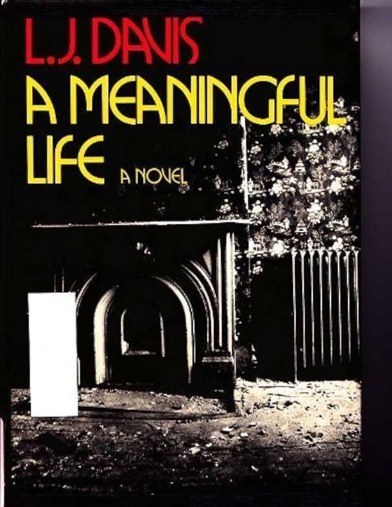 A Meaningful Life - L.J. Davis
