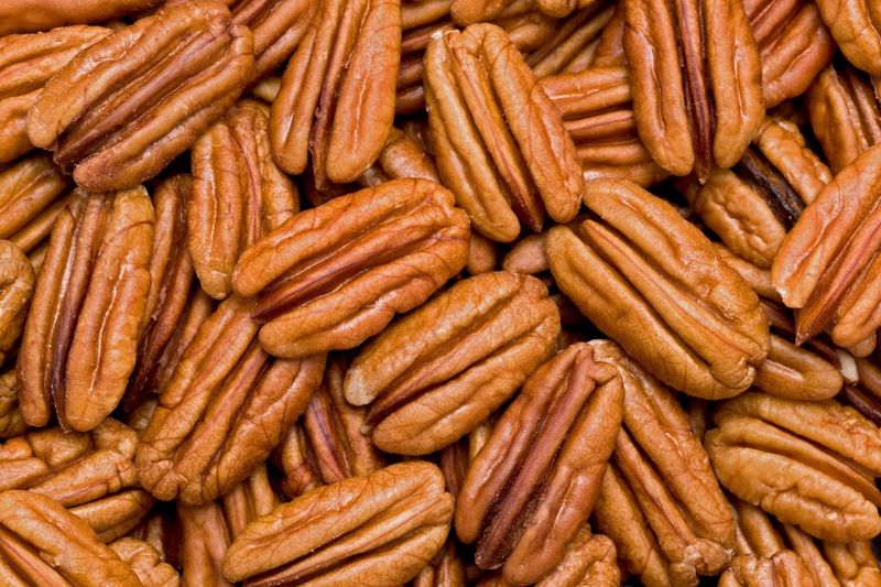 Pecan: The Stone-Cracking Nut