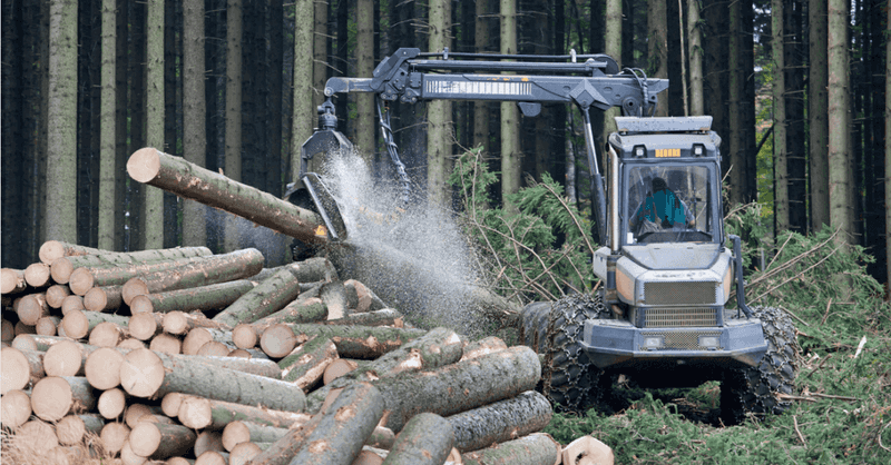 Logging Workers Cut Down Career Expectations