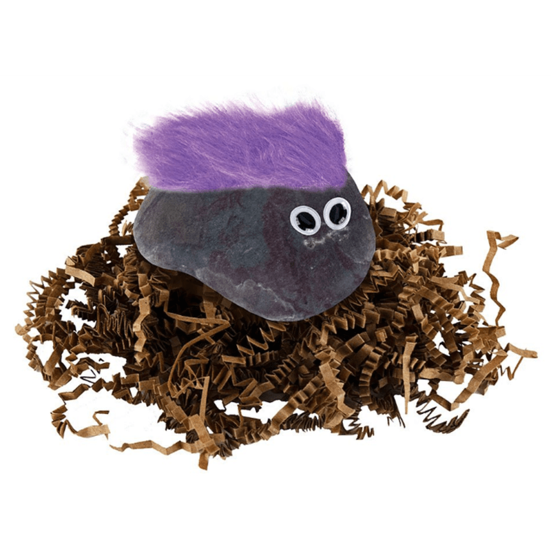 Rock Pets