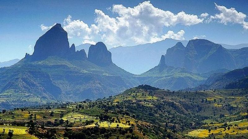 African Origins Match Human DNA