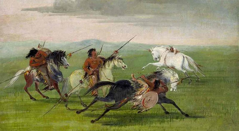 The Comanche's Shoshone Roots