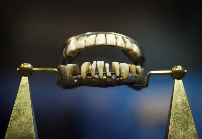 George Washington Had Wooden Teeth