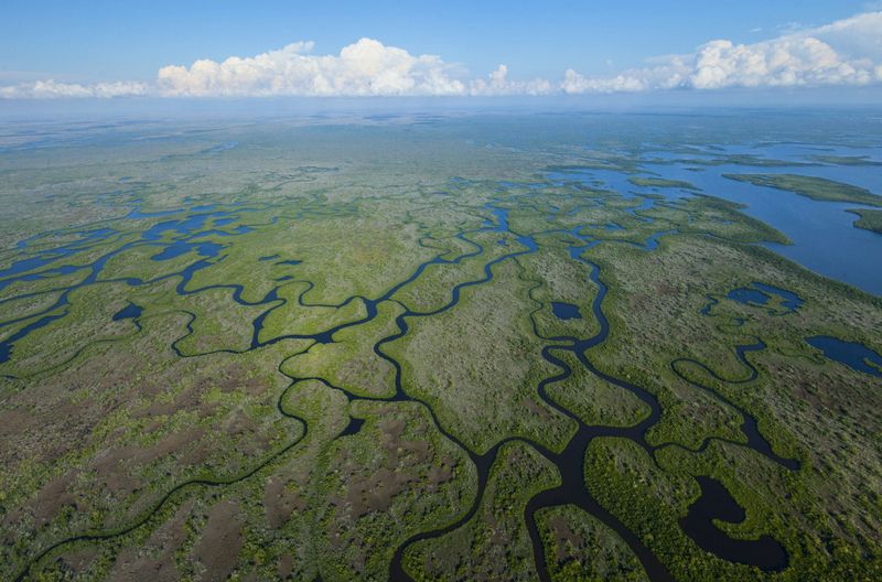 Everglades: America's Shrinking Wilderness