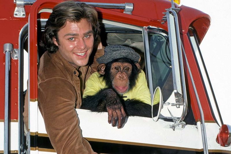 BJ and the Bear: The Trucker and His Monkey Show