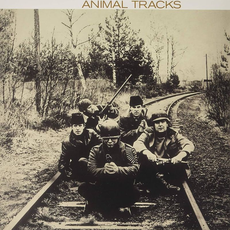 Animal Tracks – The Animals