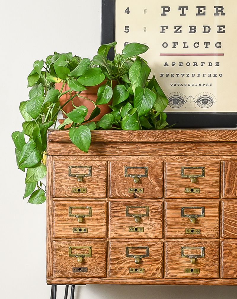 One Drawer Per Genre: The Bookish Filing System That Works IRL