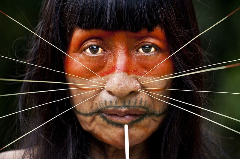 The Matsés (Peru/Brazil)
