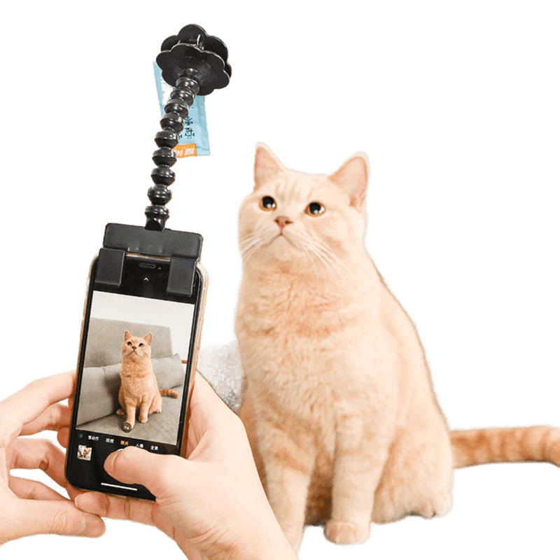 The Cat Selfie Stick 🐱📸