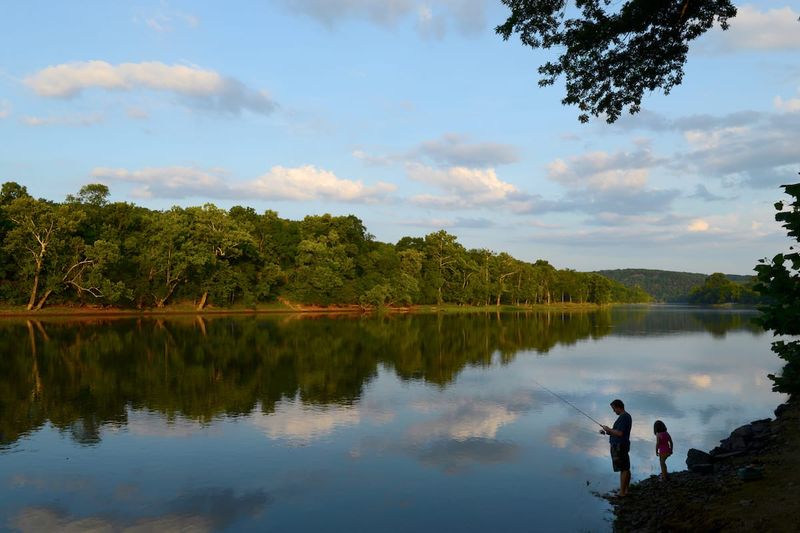 Arkansas's Cache Near the White River