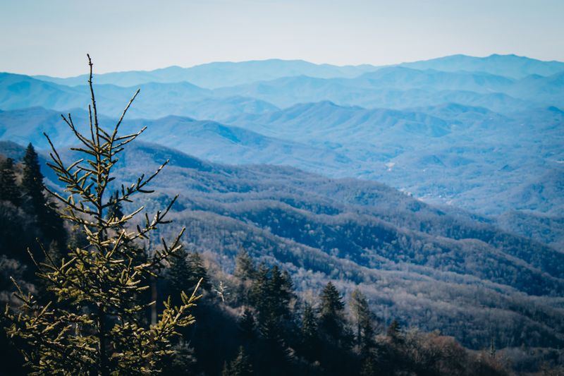 The Blue Ridge Mountains Stash