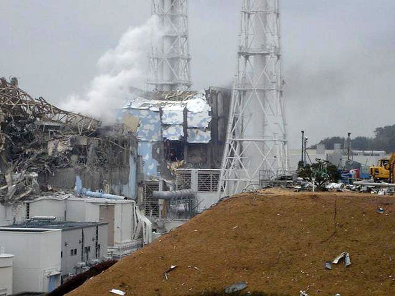 The Fukushima Disaster (2011)