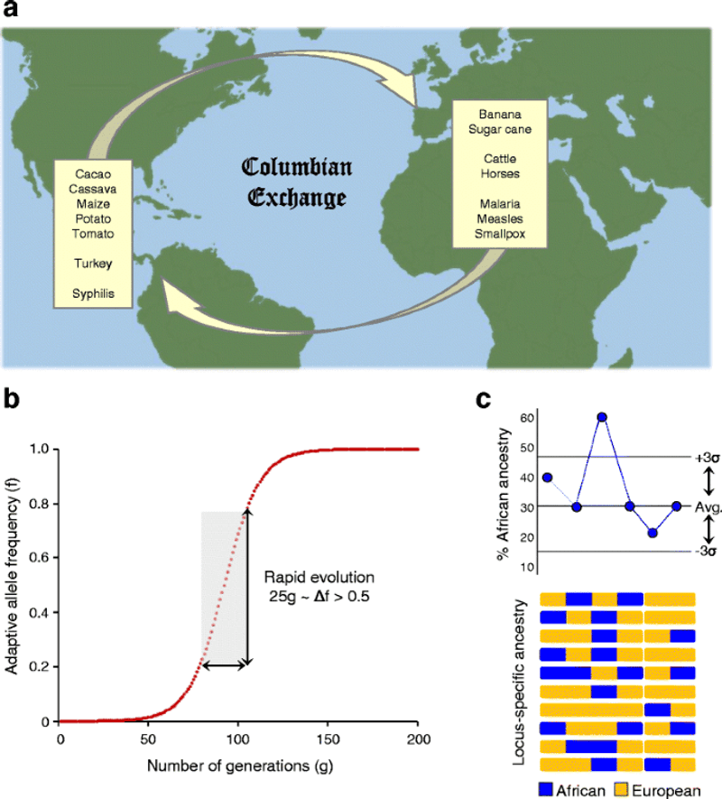 The Genetic Impact of European Diseases