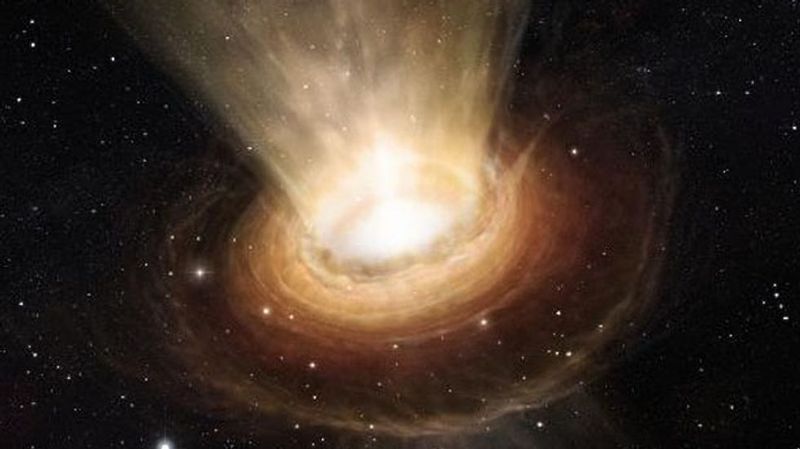 Black Holes Might Not Destroy—But Recycle