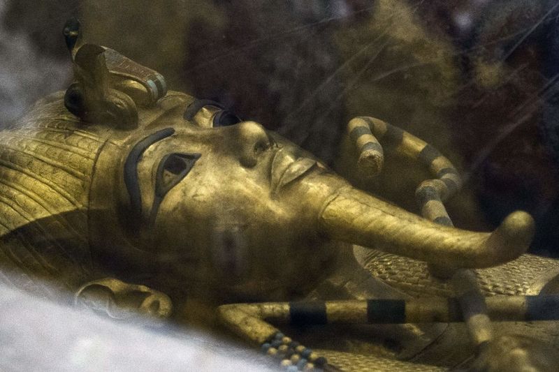 The Curse of the Pharaohs