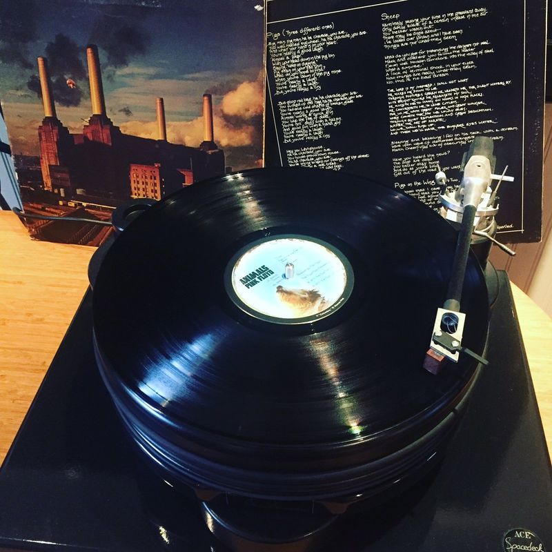 Animals – The Beginning of the End (1977)