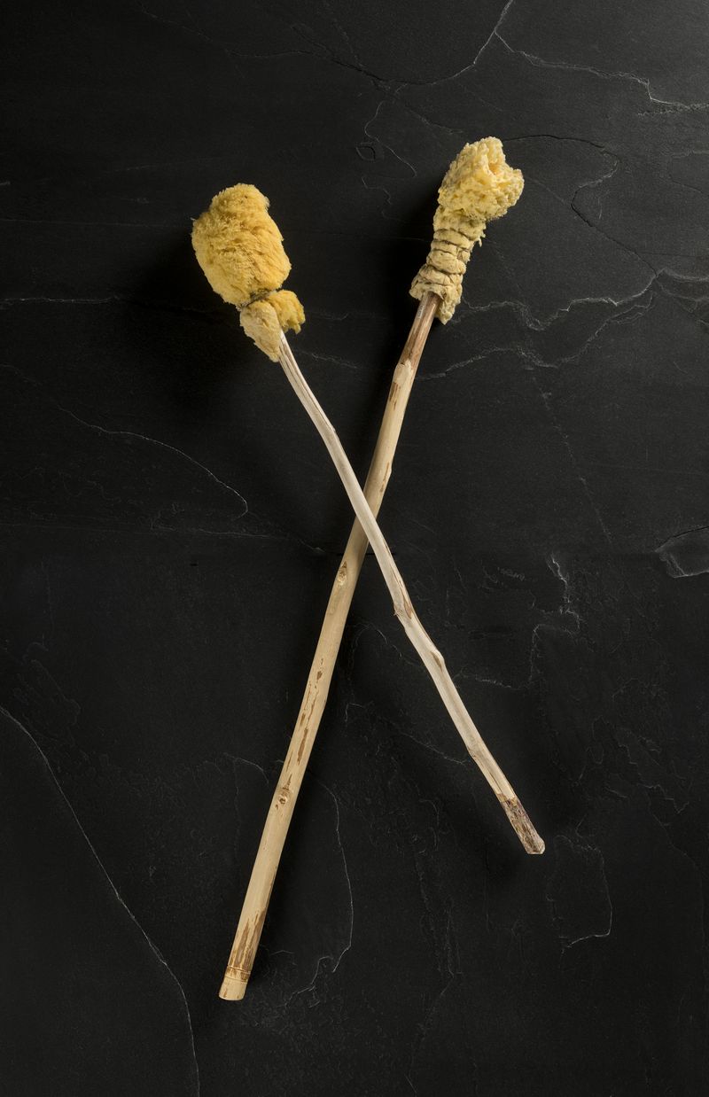 Romans Wiped Their Butts with a Shared Sponge Stick