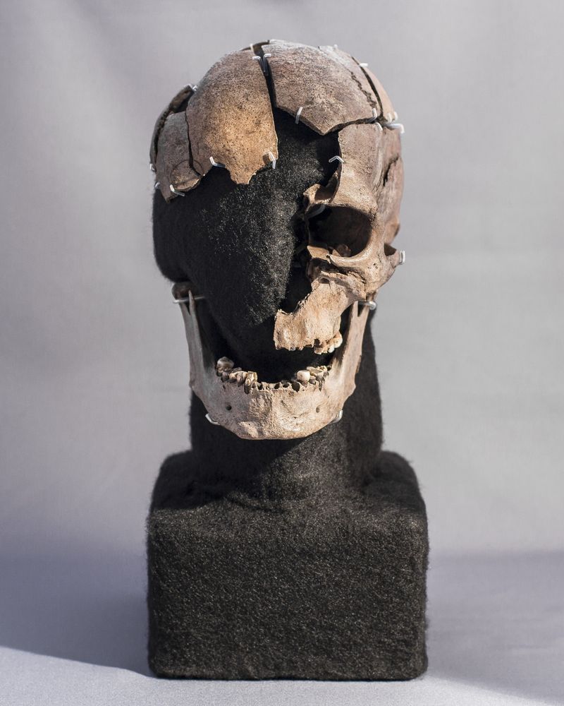 The “Sacrifice” of the Bog Bodies