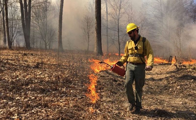 Return to Prescribed Fire Practices