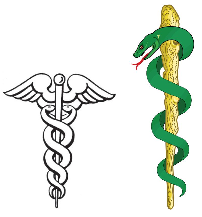 The Serpent on the Staff (Rod of Asclepius)