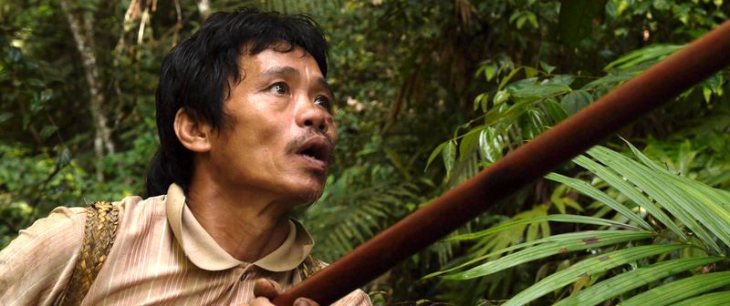 The Penan (Borneo)
