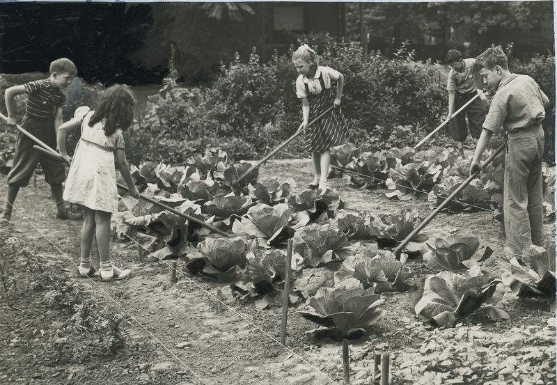 Victory Gardens (1940s)