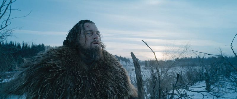 The Revenant (2015)