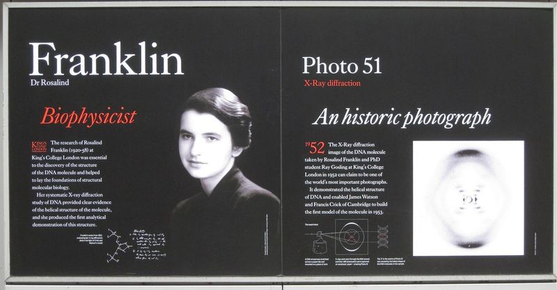 Rosalind Franklin: The Unacknowledged DNA Pioneer